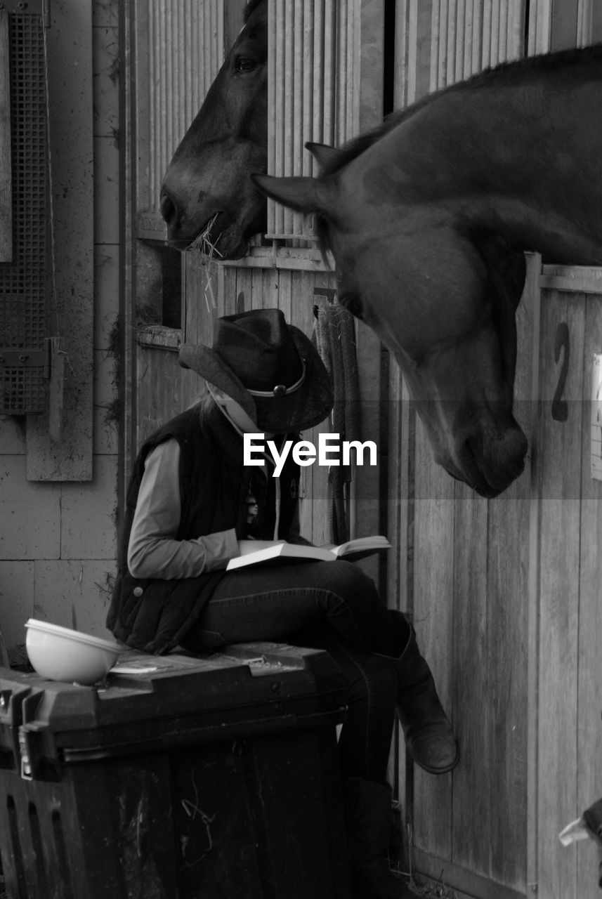 Teenage girl reading book while sitting in stable