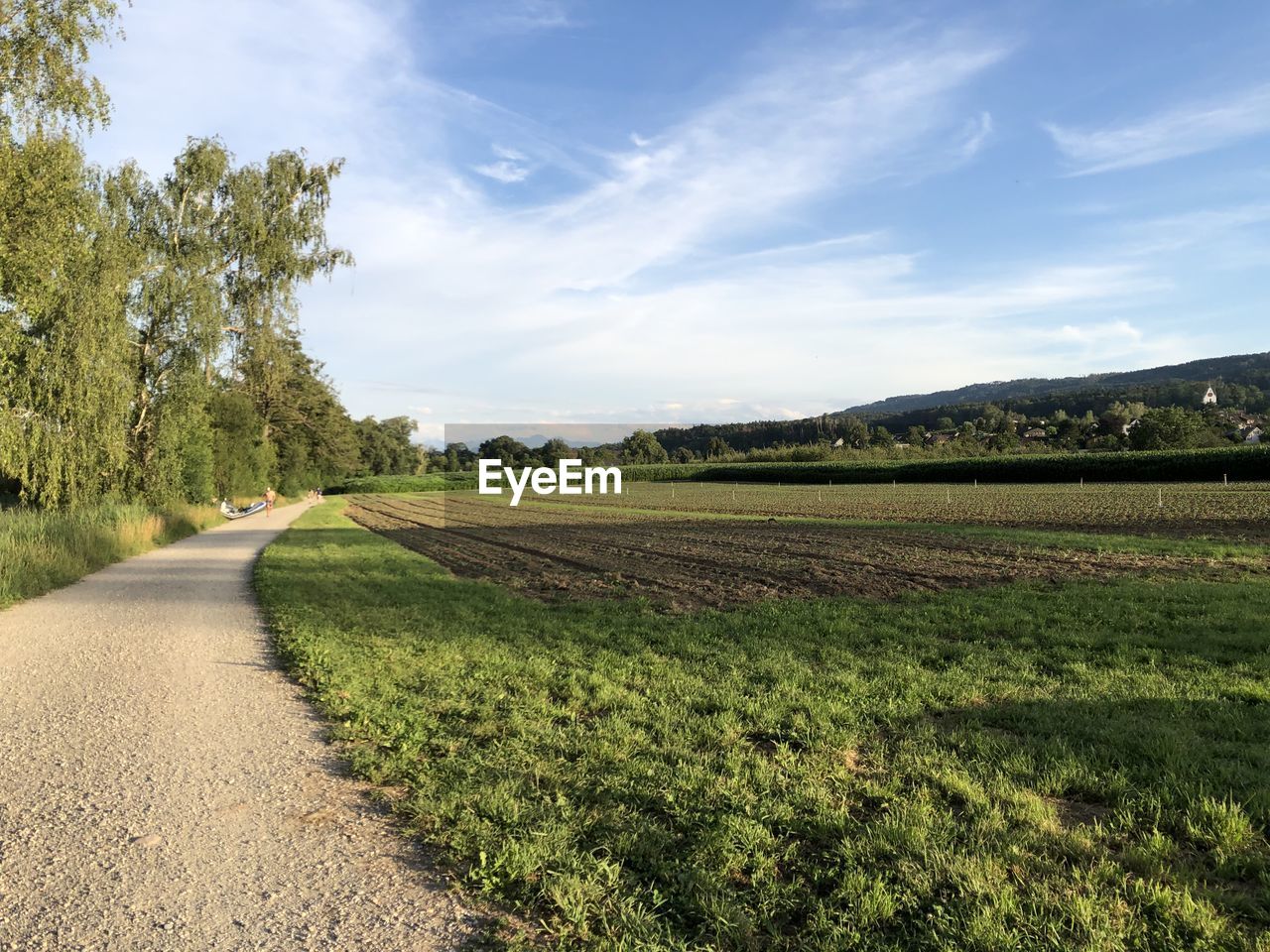 Road amidst trees on field against sky