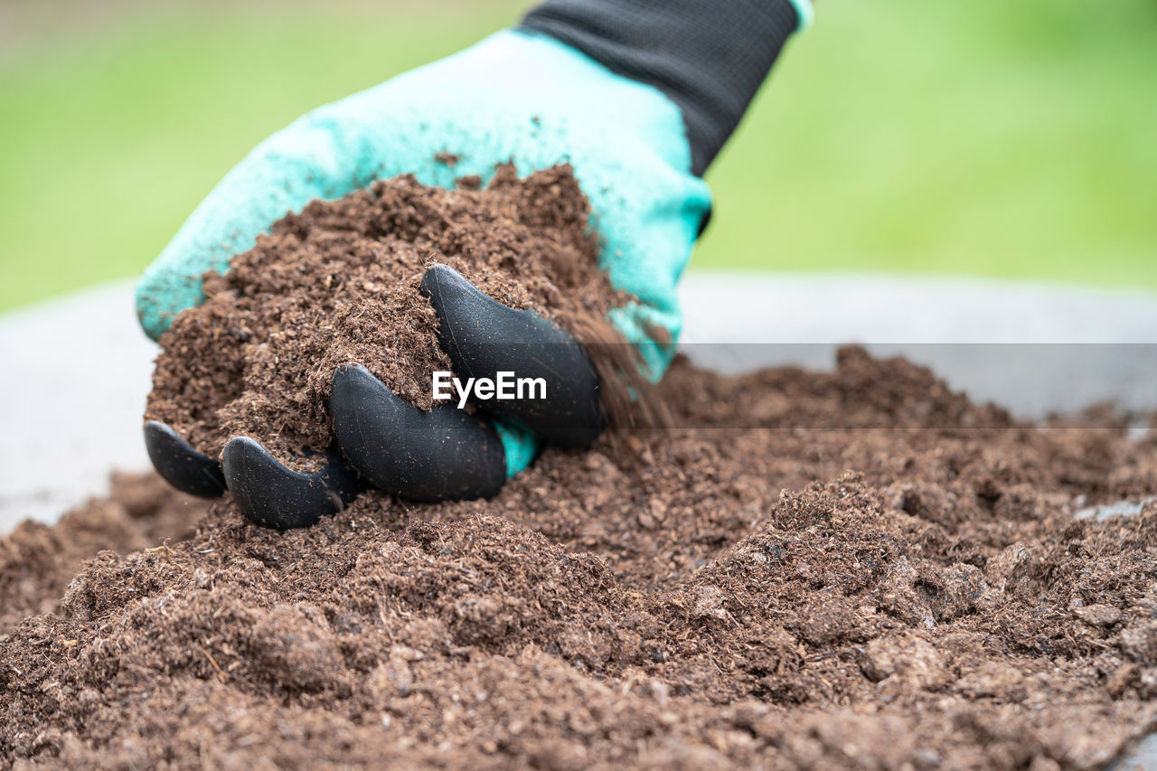 soil, dirt, green, protective glove, gardening, nature, hand, protective workwear, selective focus, close-up, one person, day, food and drink, outdoors, planting, protection, food, plant