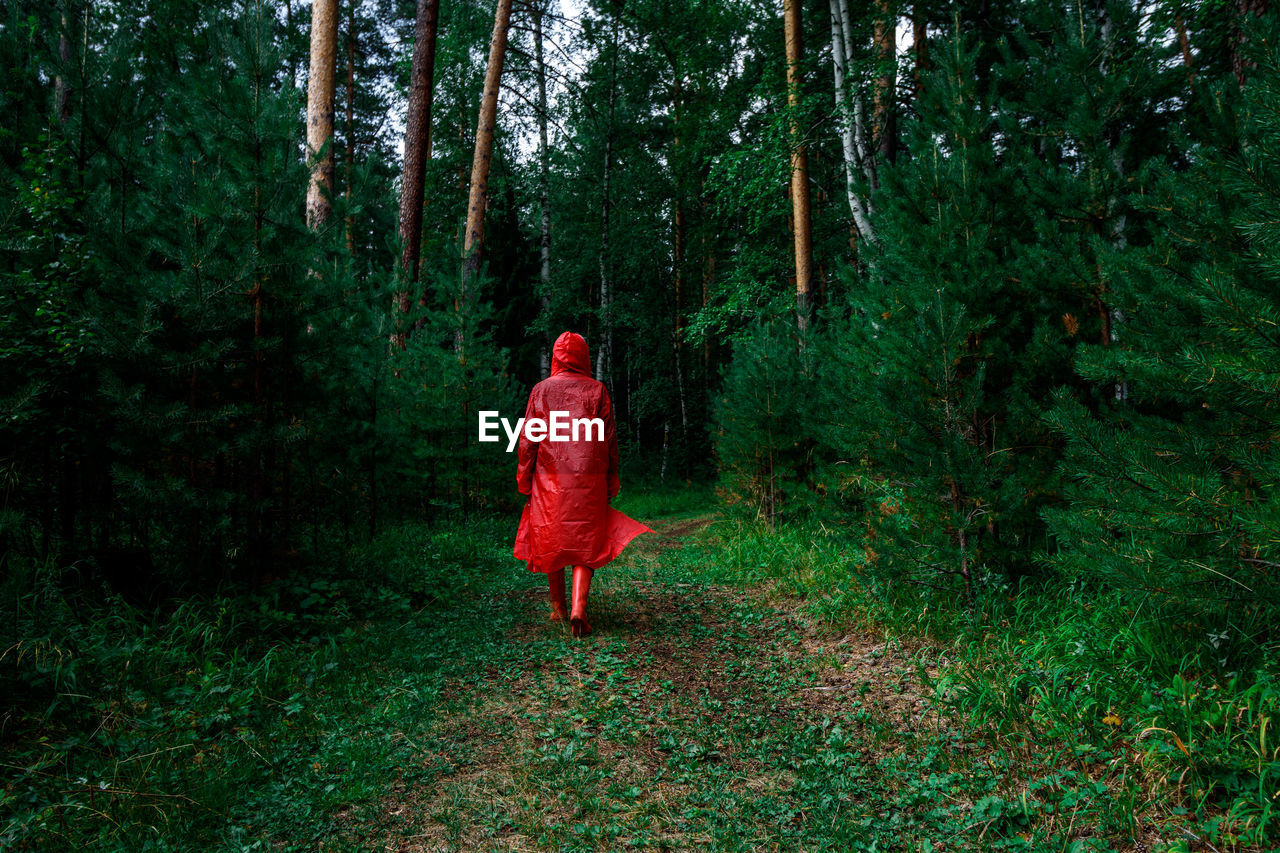 Rear view of woman walking in forest.