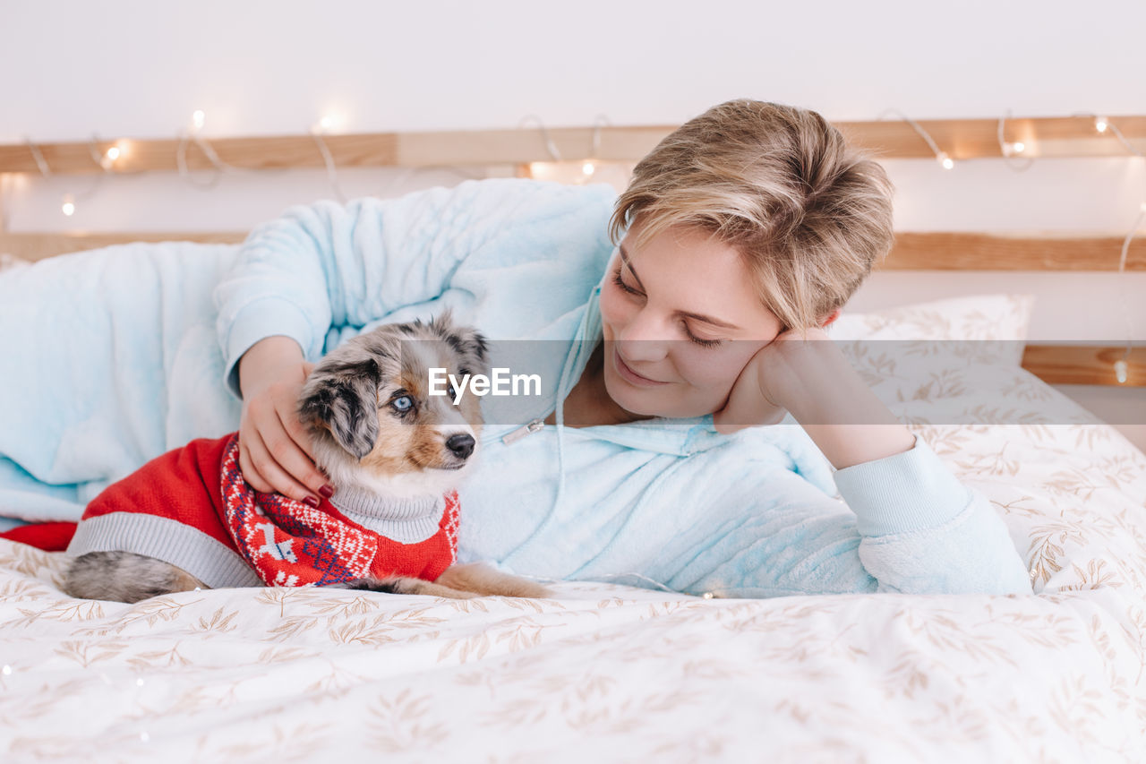 Cute dog lying on bed