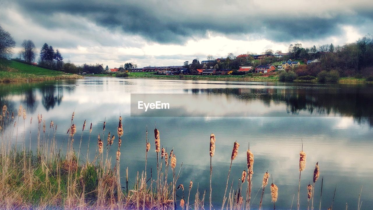 PANORAMIC VIEW OF LAKE