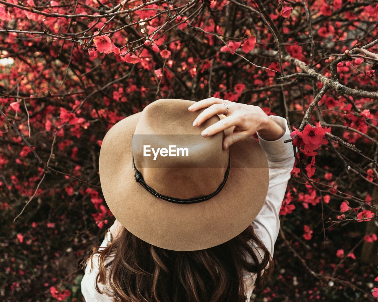 Rear view of woman wearing hat against trees