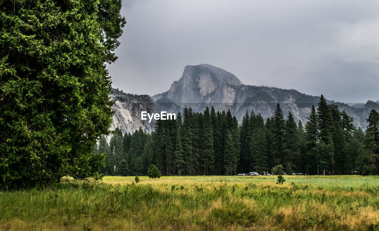 SCENIC VIEW OF GREEN LANDSCAPE AND MOUNTAINS