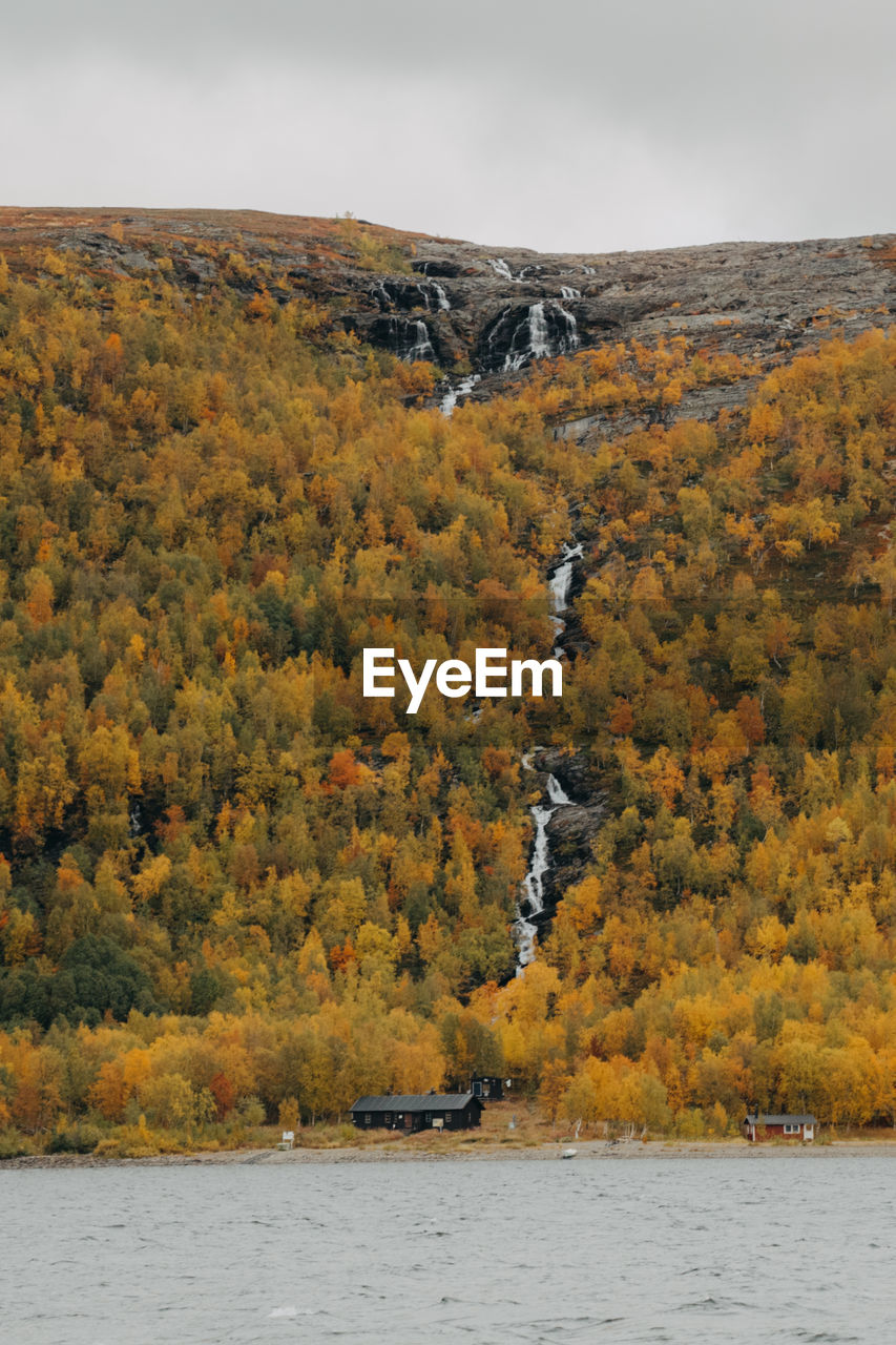 Scenic view of waterfall in the forrest against sky during autumn