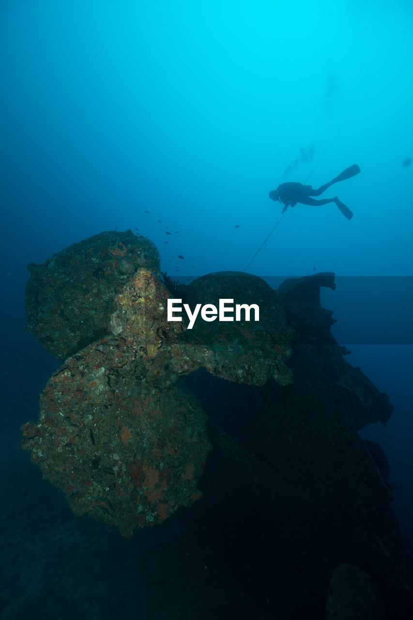 Scuba diver swimming underwater