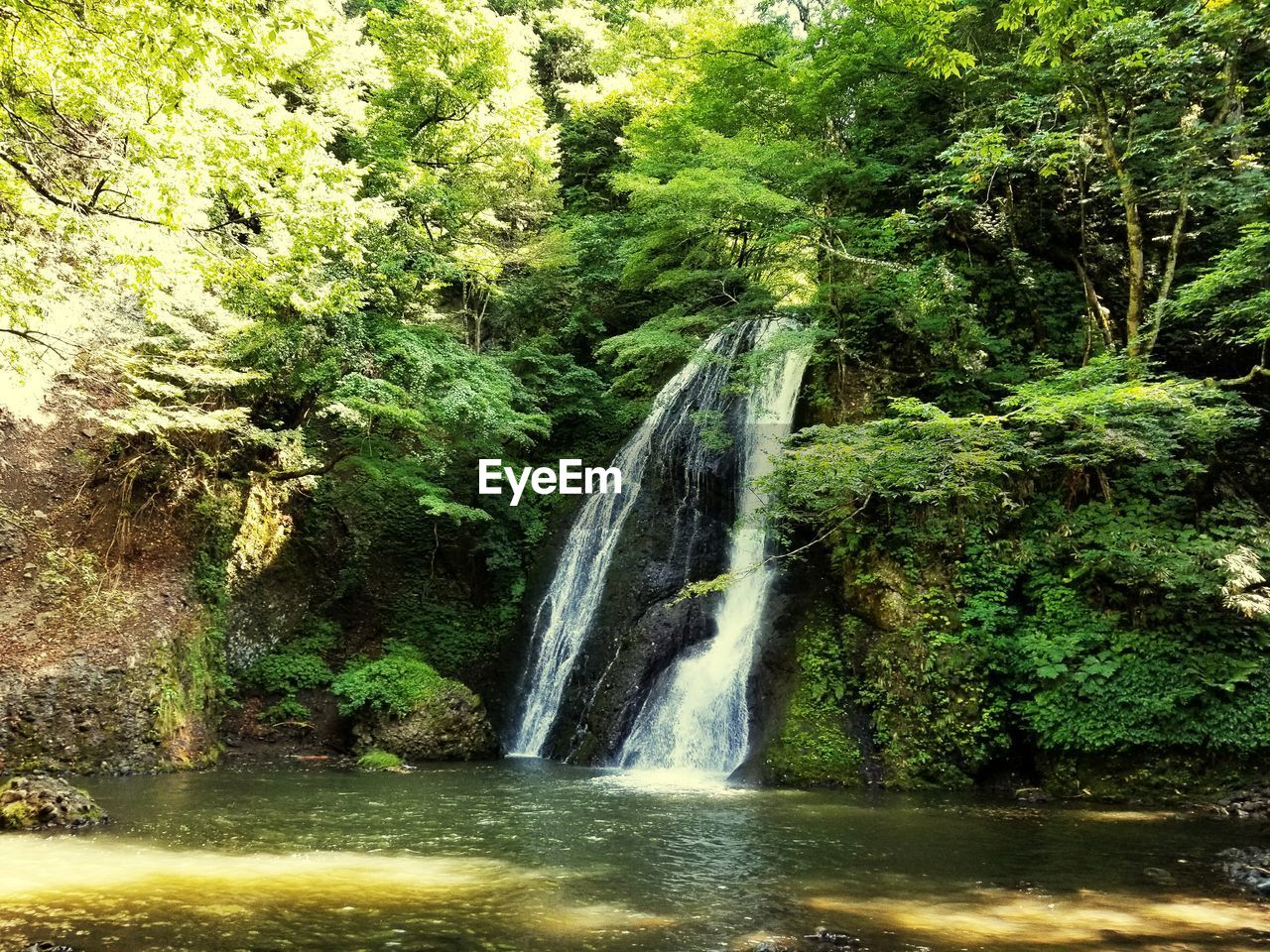 VIEW OF WATERFALL IN FOREST