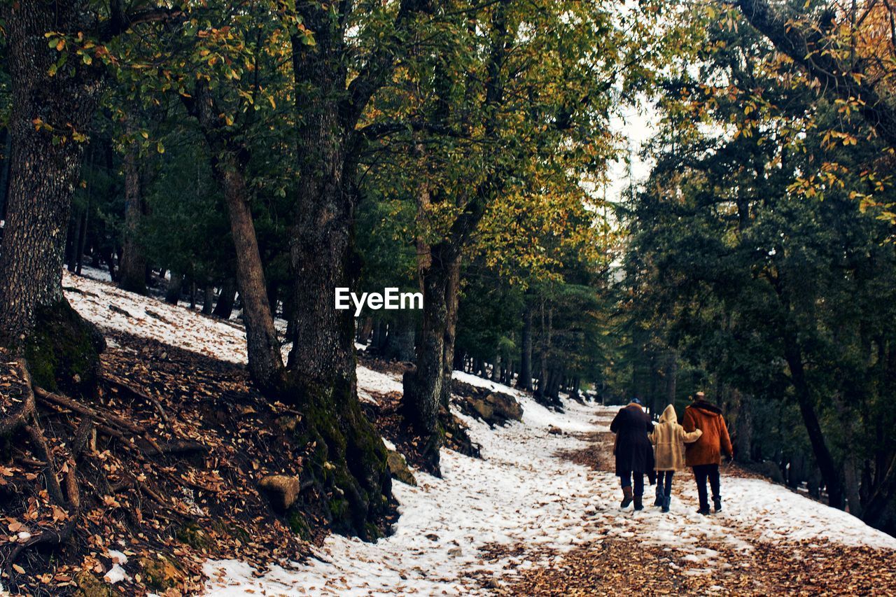 REAR VIEW OF MEN WALKING ON FOREST