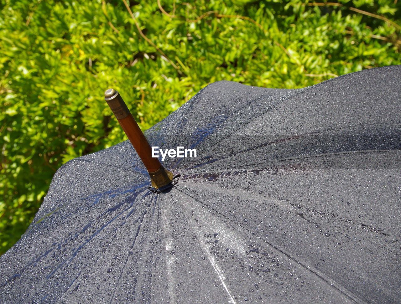 High angle view of raindrops on umbrella