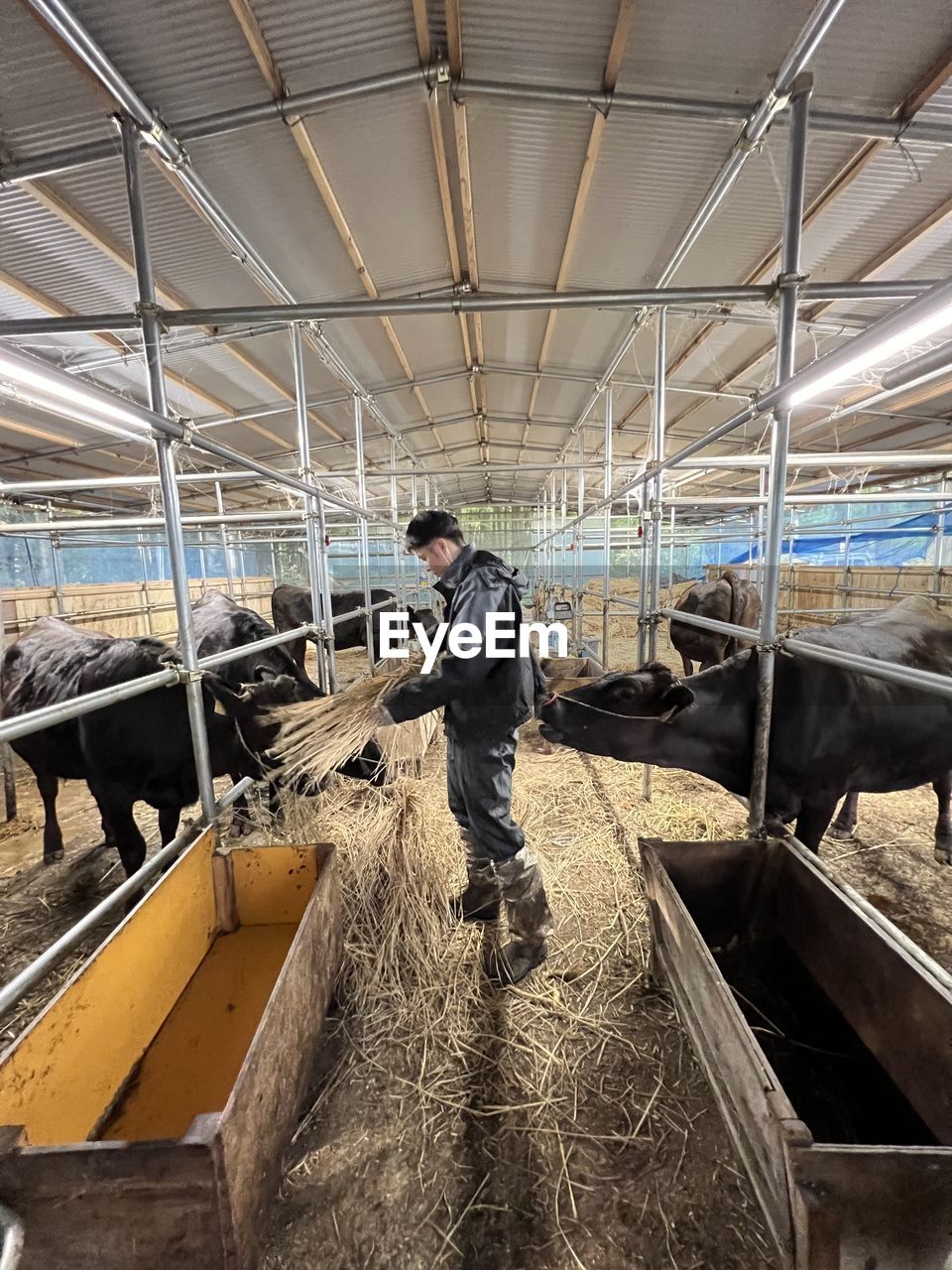 Low angle view of man standing on escalator