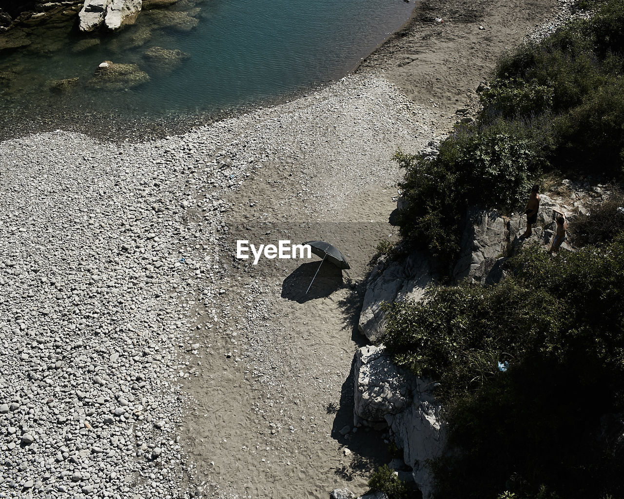 HIGH ANGLE VIEW OF CRAB ON ROCK BY TREE