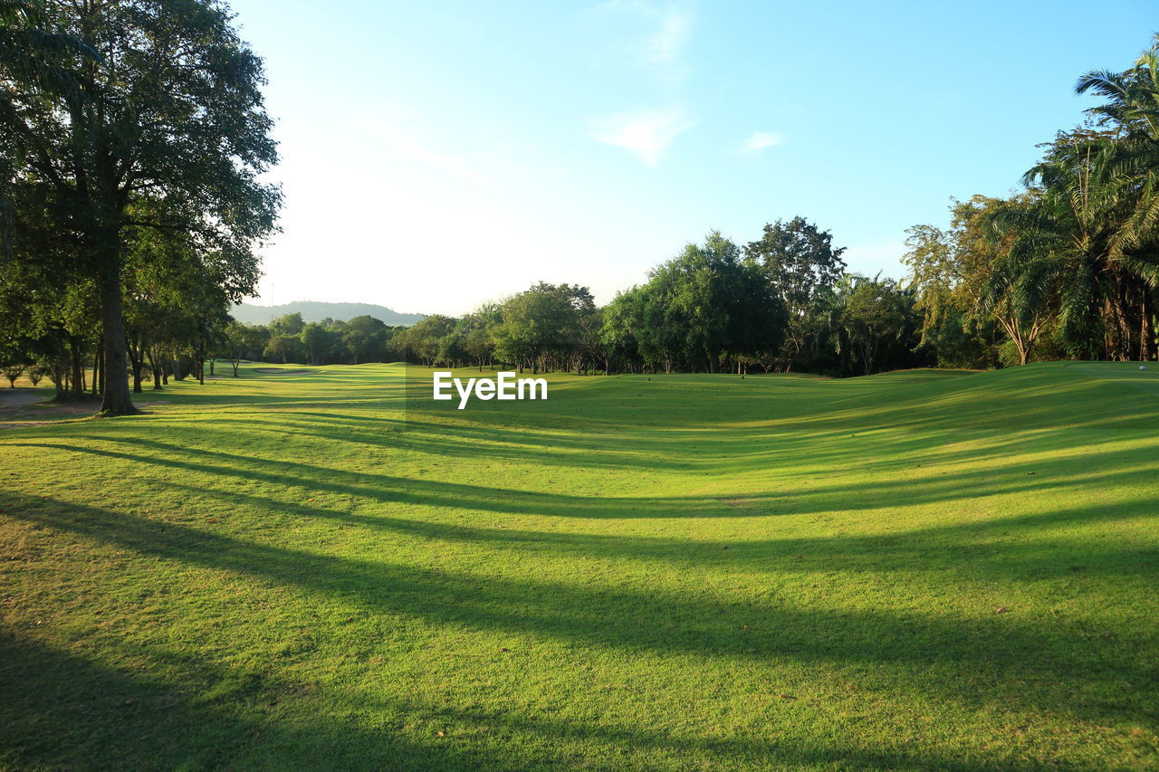 SCENIC VIEW OF GOLF COURSE AGAINST TREES AGAINST SKY