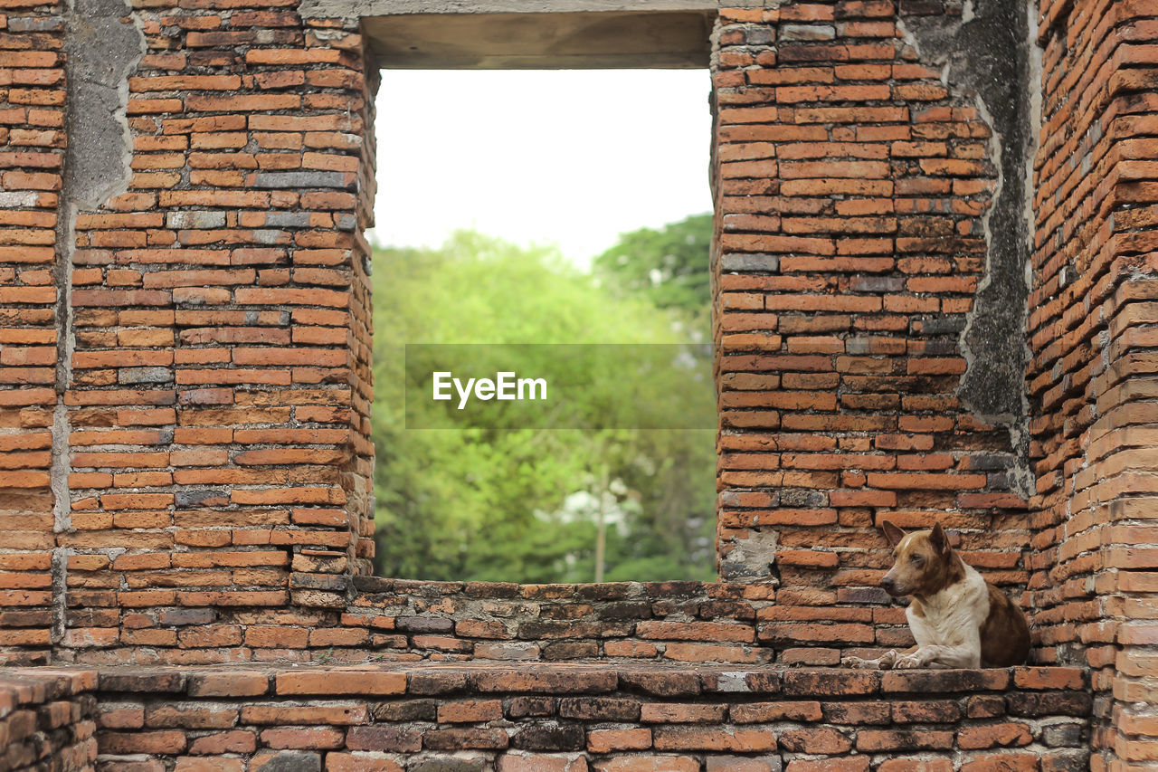 VIEW OF A STONE WALL