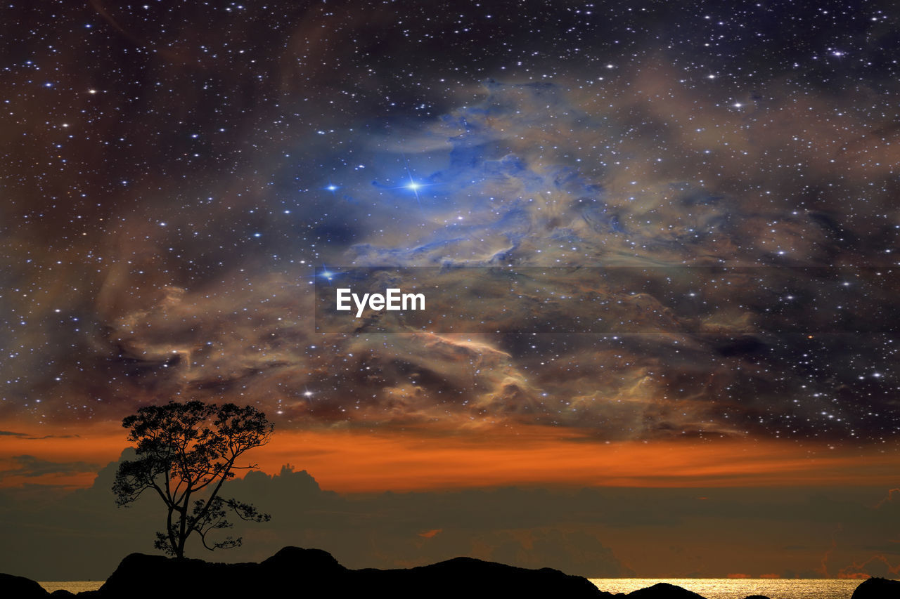 SCENIC VIEW OF SILHOUETTE TREES AGAINST SKY AT NIGHT