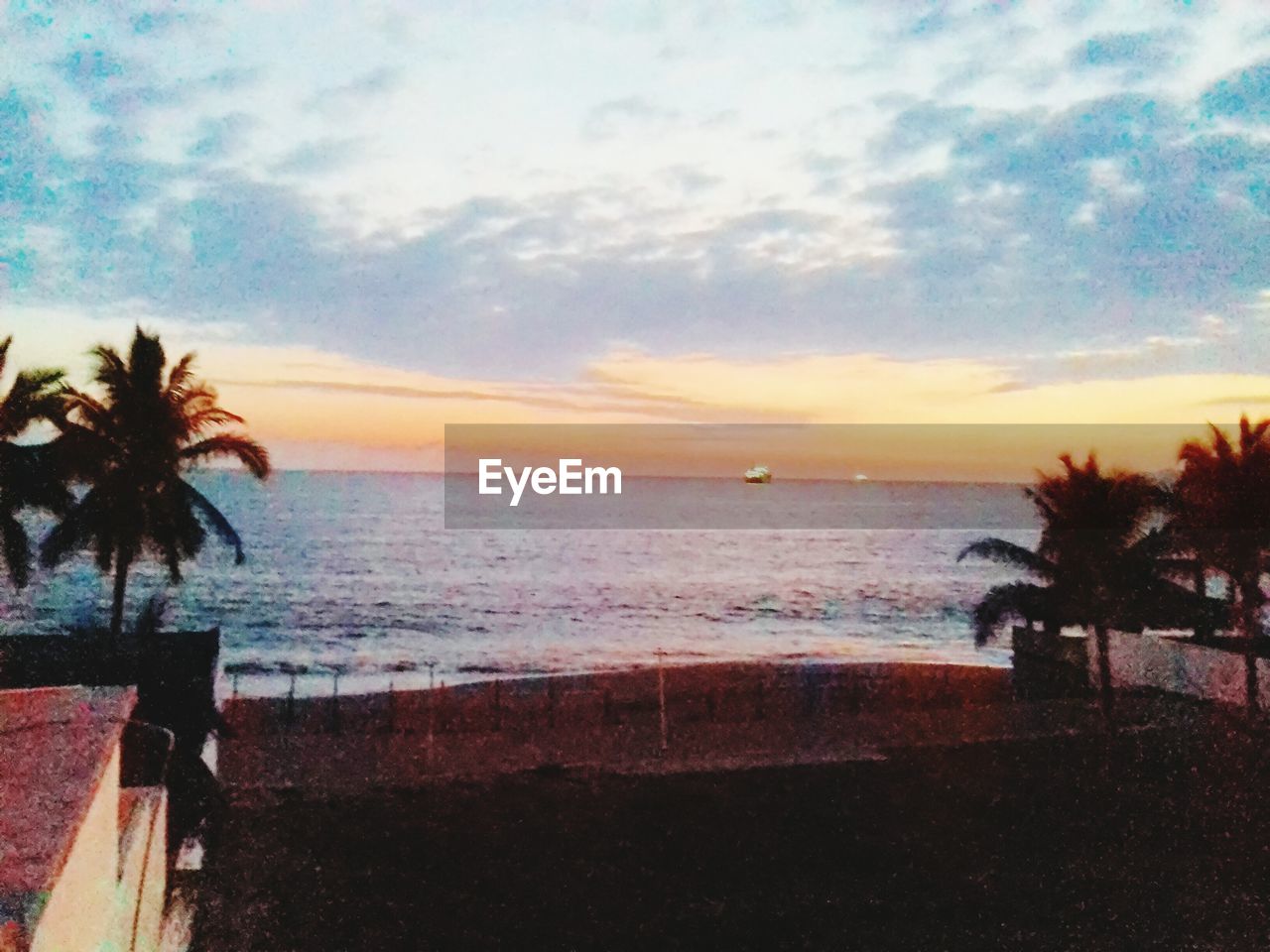 SILHOUETTE PALM TREES ON BEACH AGAINST SKY DURING SUNSET