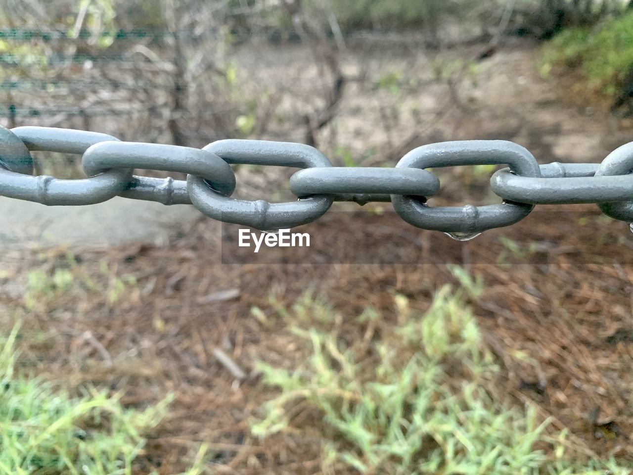 CLOSE-UP OF CHAIN IN FIELD