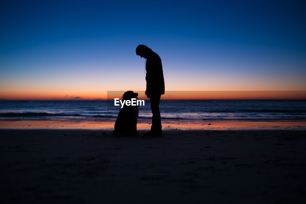 Silhouette man standing by dog at beach against sky during sunset