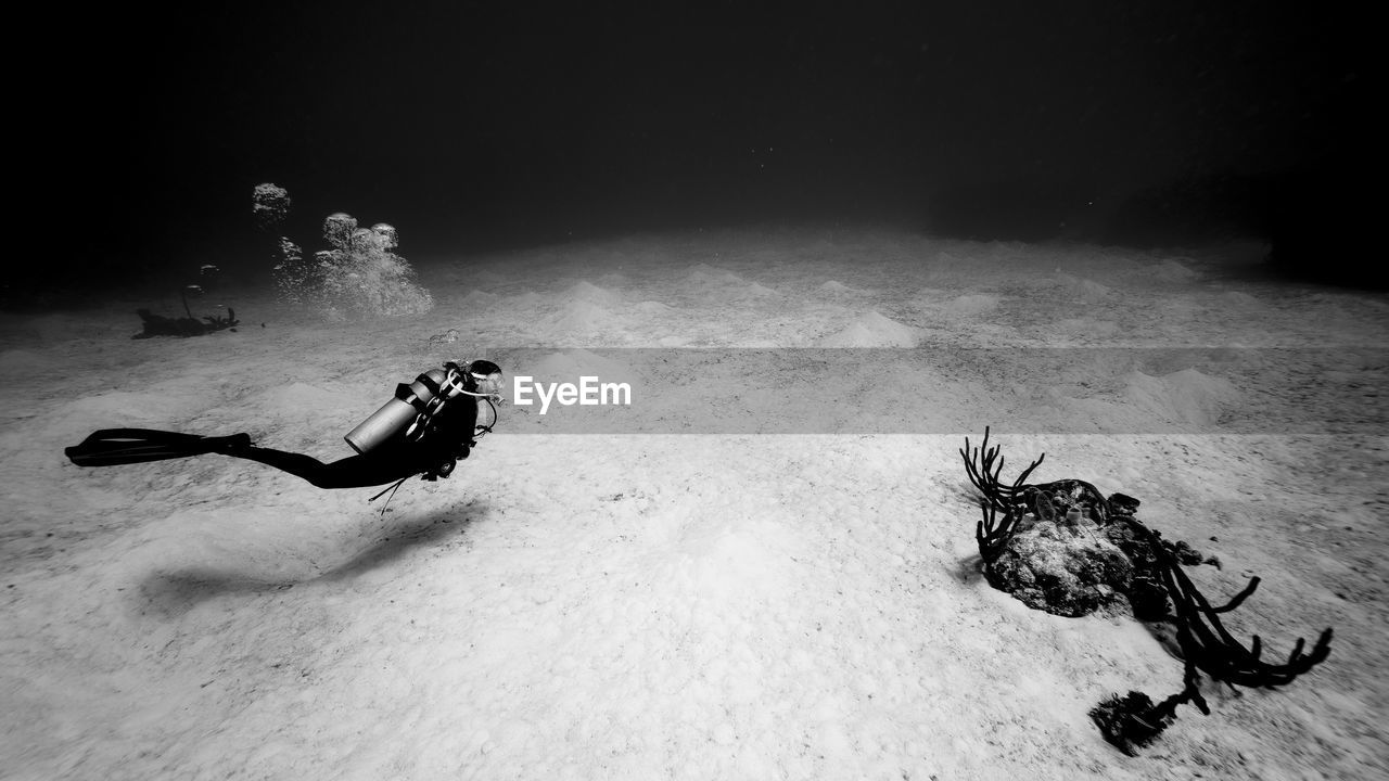 Scuba diver swimming undersea