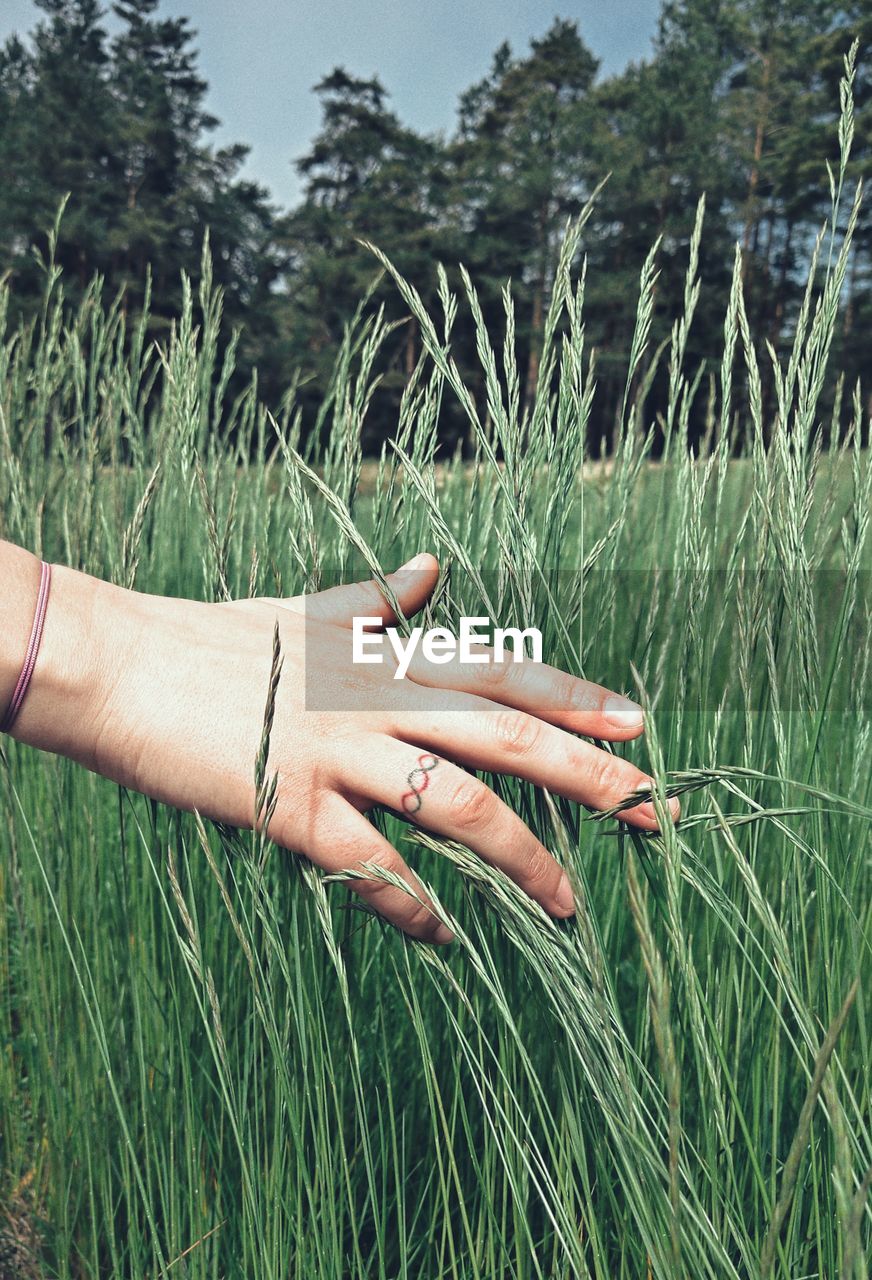 CROPPED IMAGE OF HAND TOUCHING GRASS