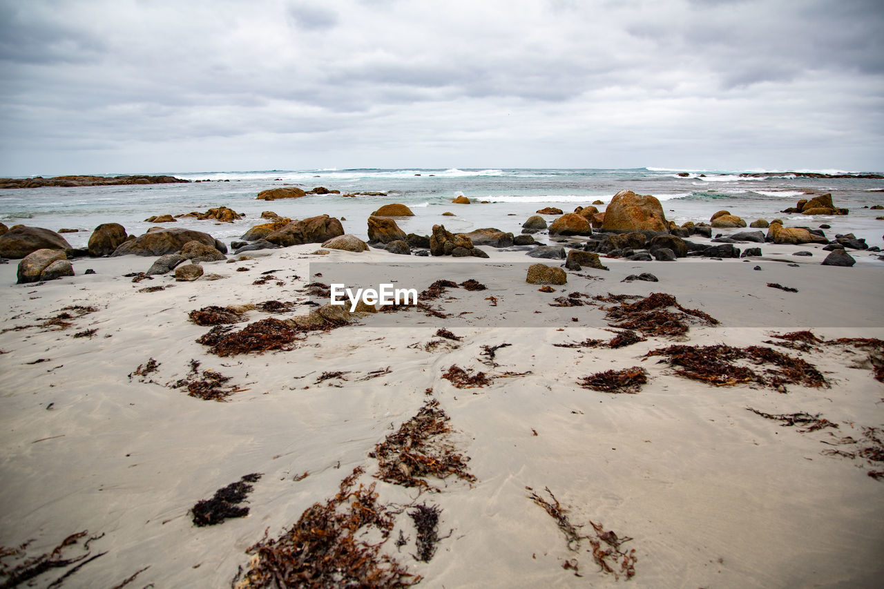 Rocks on beach against sky