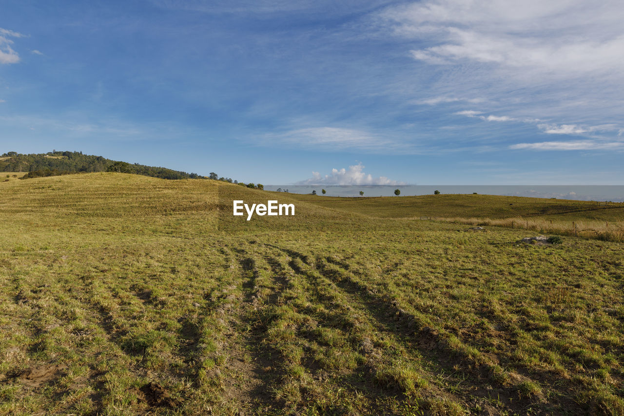 Scenic view of agricultural field against sky