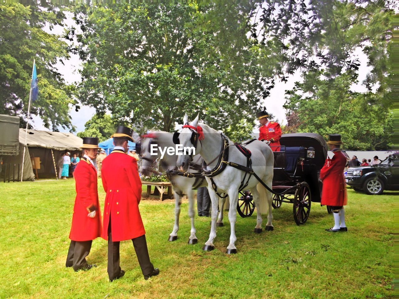 Men in red uniform by horse cart on grassy field