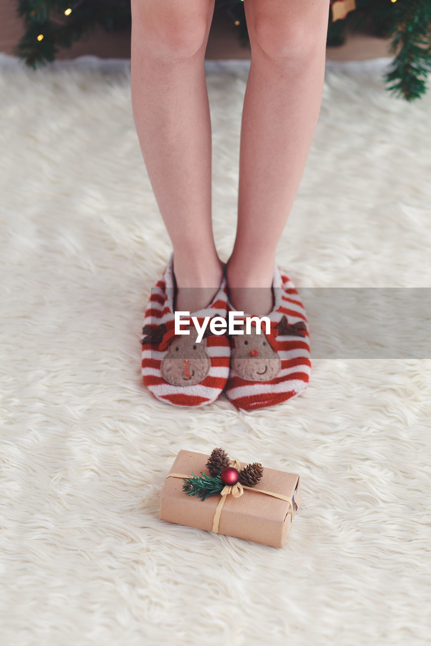 Low section of girl standing in front of present