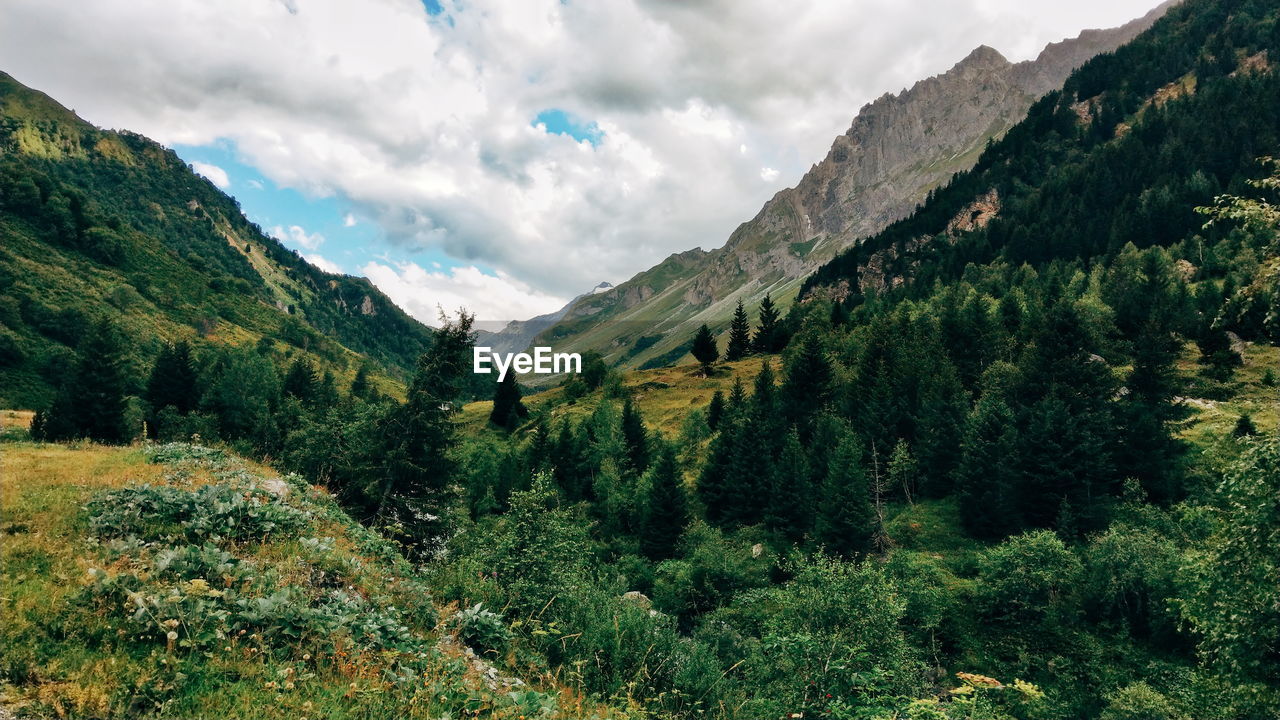 PANORAMIC SHOT OF TREES AND MOUNTAINS AGAINST SKY