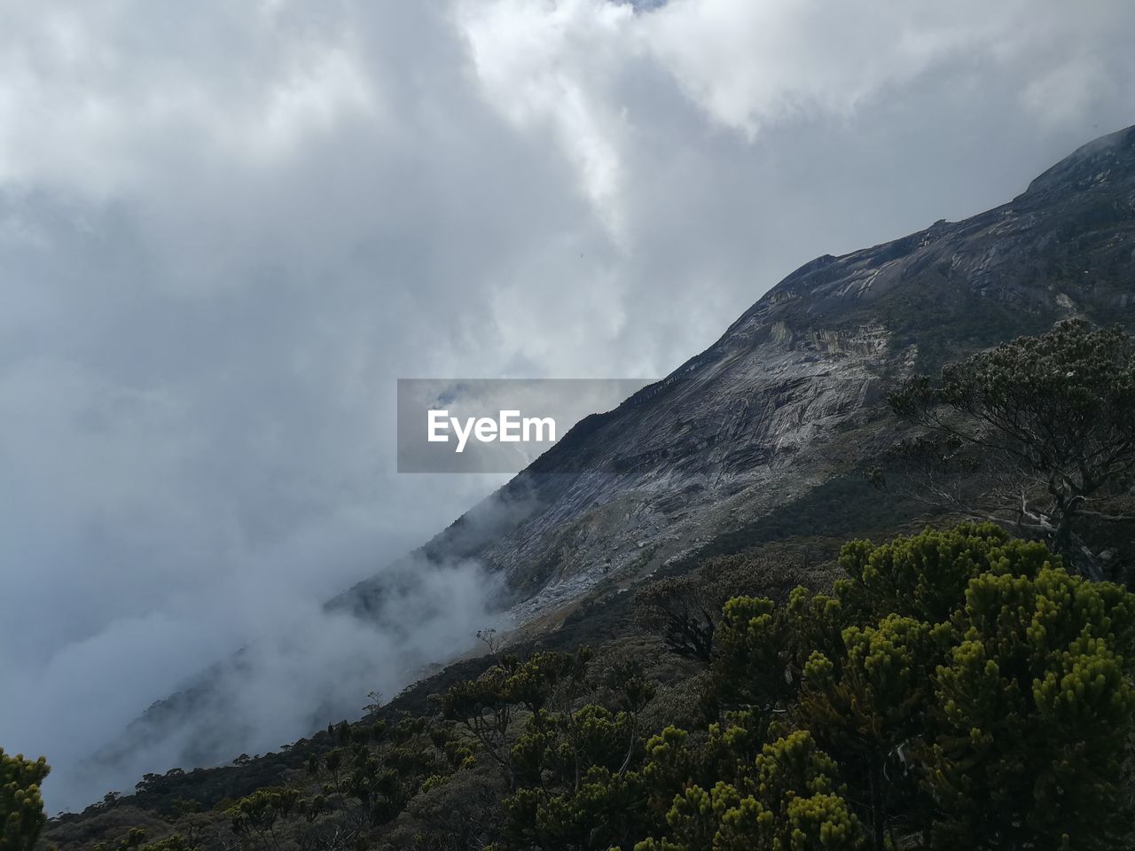 Kinabalu park