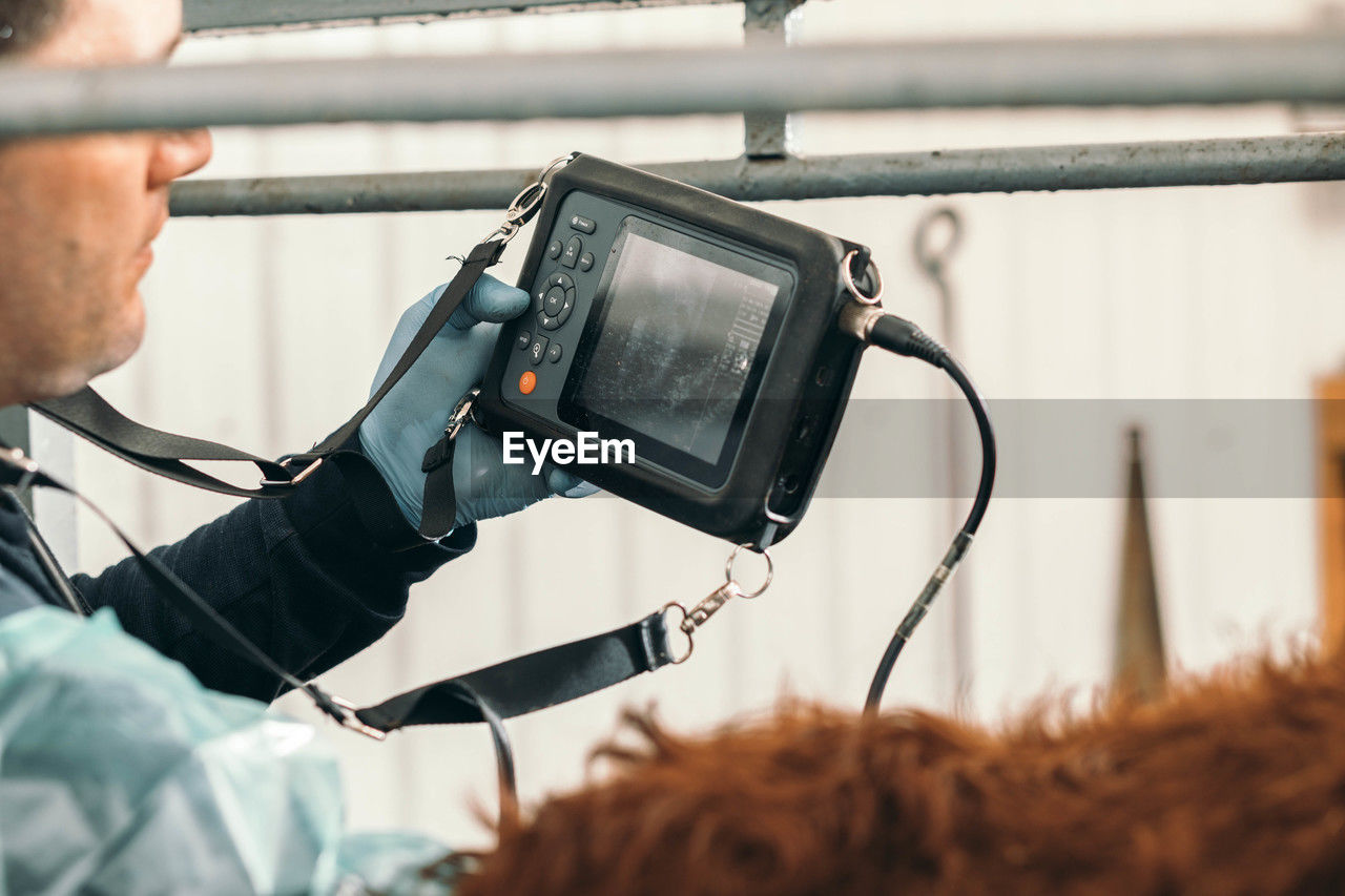 Veterinarians use ultrasound technology to improve care of farm animals and insemination management