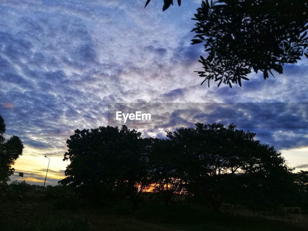 SILHOUETTE TREES AGAINST SKY AT SUNSET