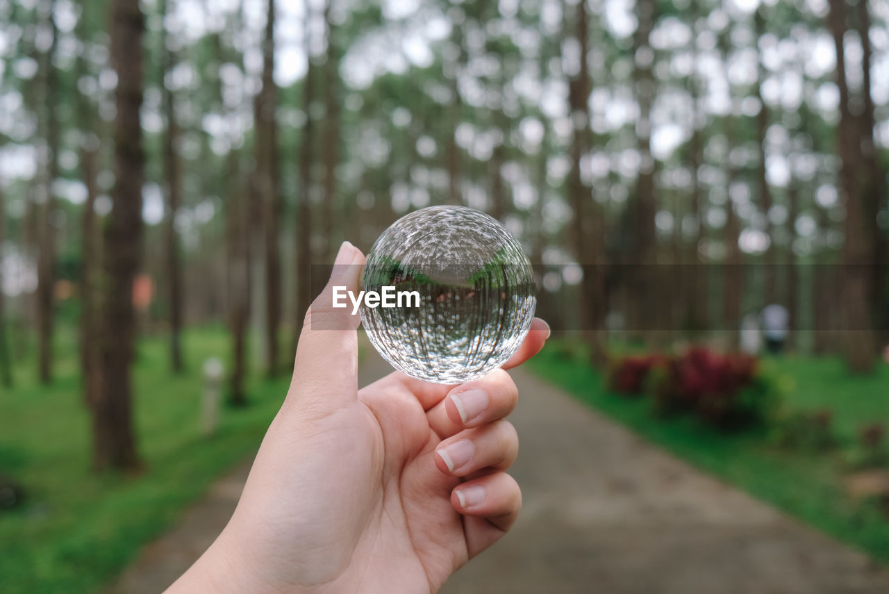 Cropped hand of person holding crystal ball against trees