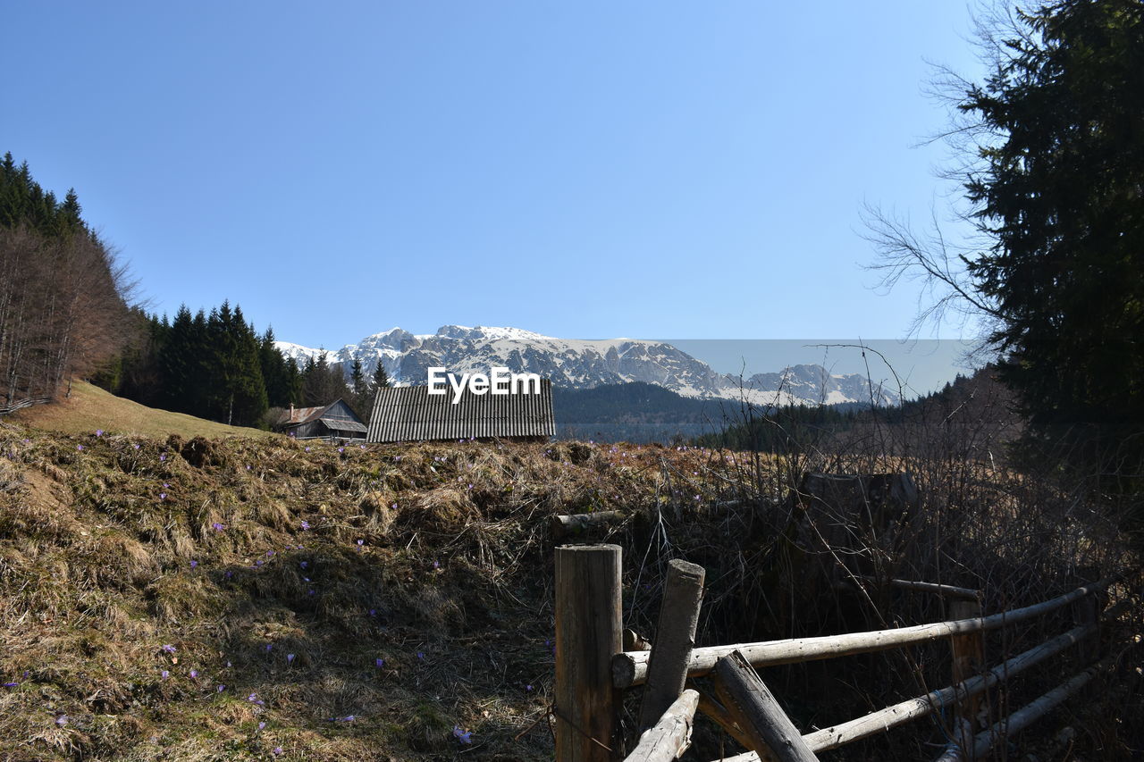 SCENIC VIEW OF FIELD AGAINST CLEAR SKY