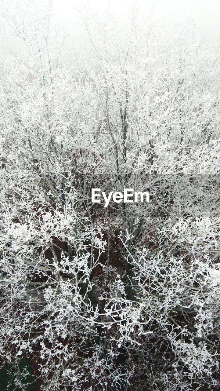 Full frame shot of snow covered land