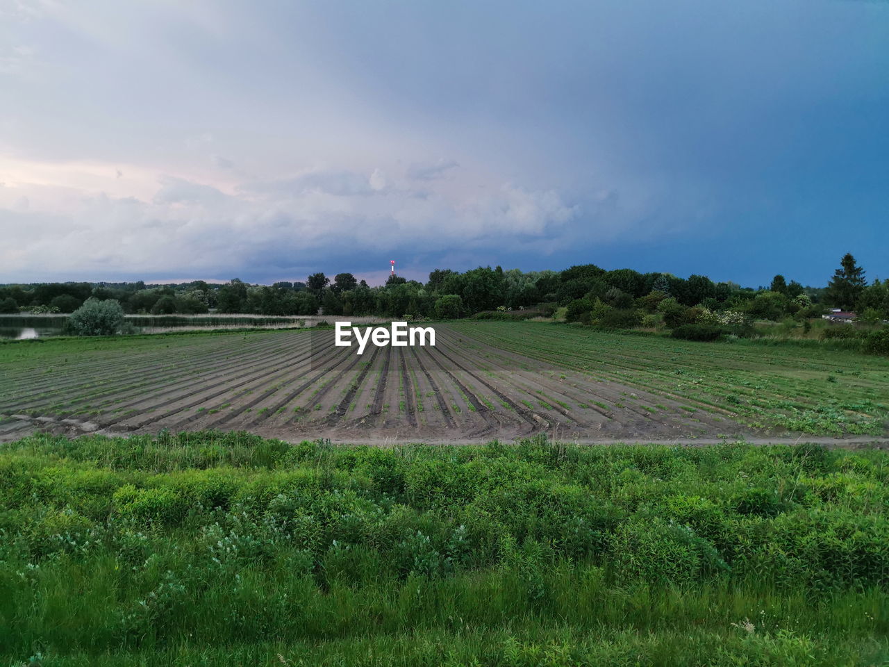 SCENIC VIEW OF FARMS AGAINST SKY