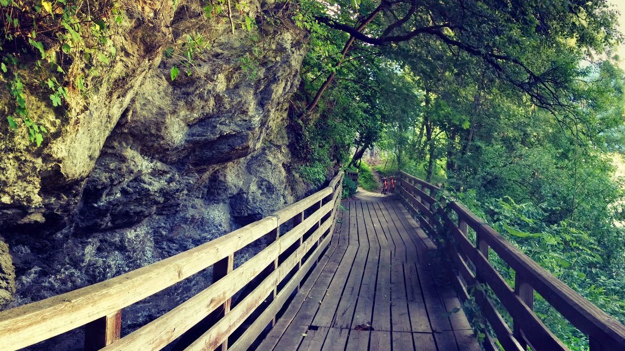 Narrow wooden footbridge along trees