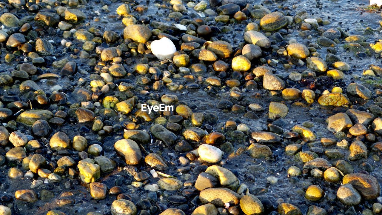 High angle view of pebbles on wet shore