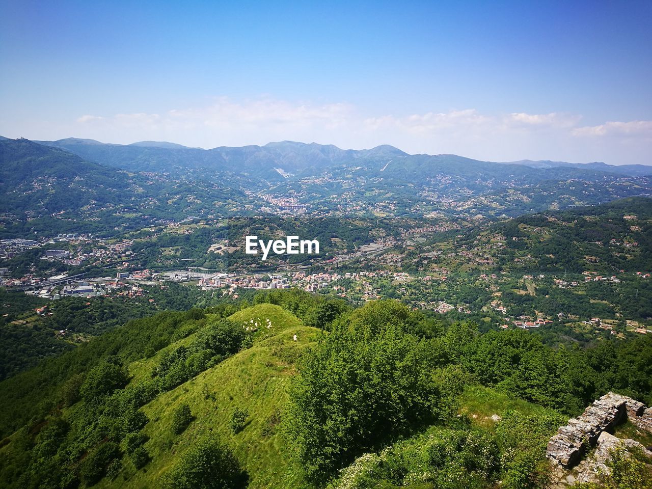 HIGH ANGLE VIEW OF TREES AGAINST SKY