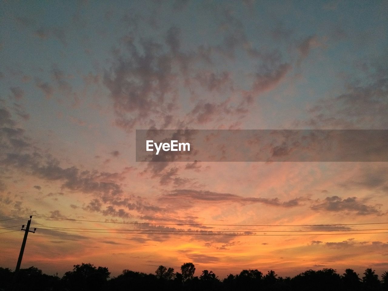 SILHOUETTE OF TREES AT SUNSET