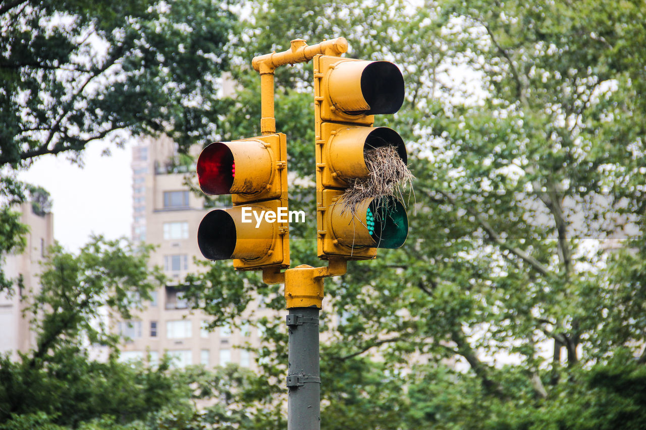 Close-up of bird's nest in stoplight