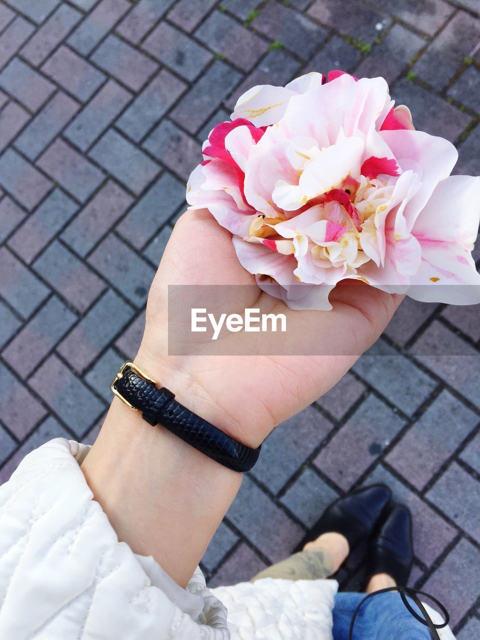 WOMAN HOLDING PINK FLOWER