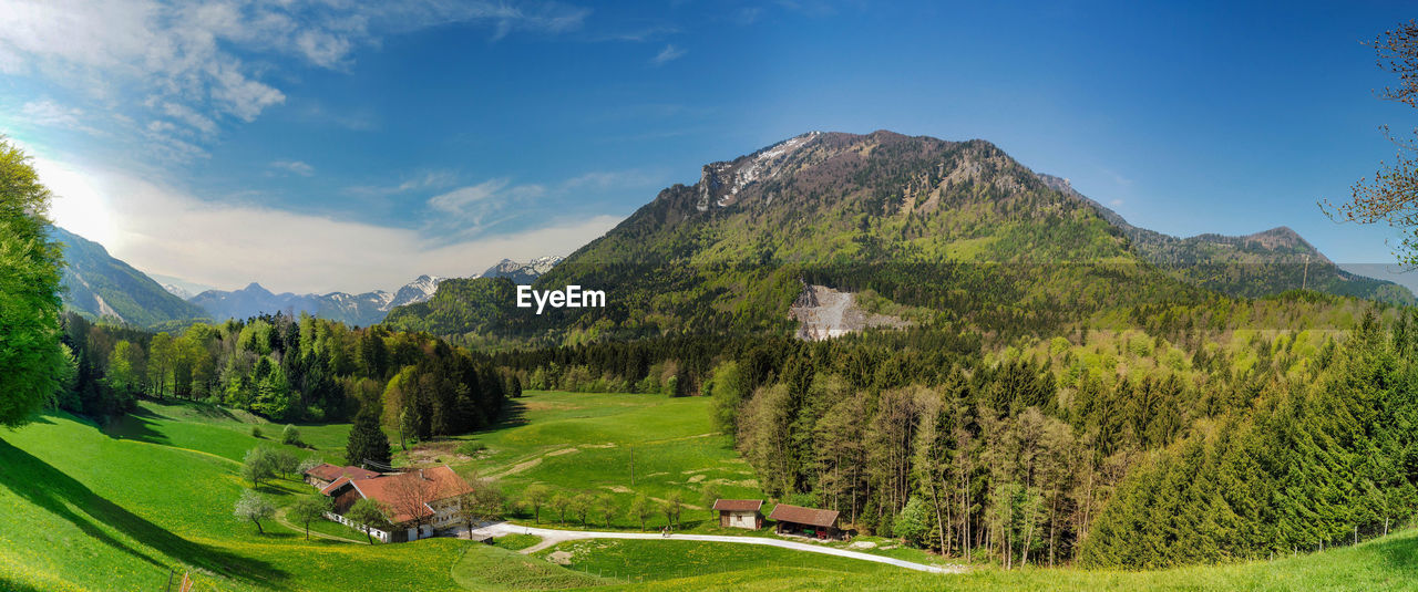 Scenic view of trees and mountains against sky