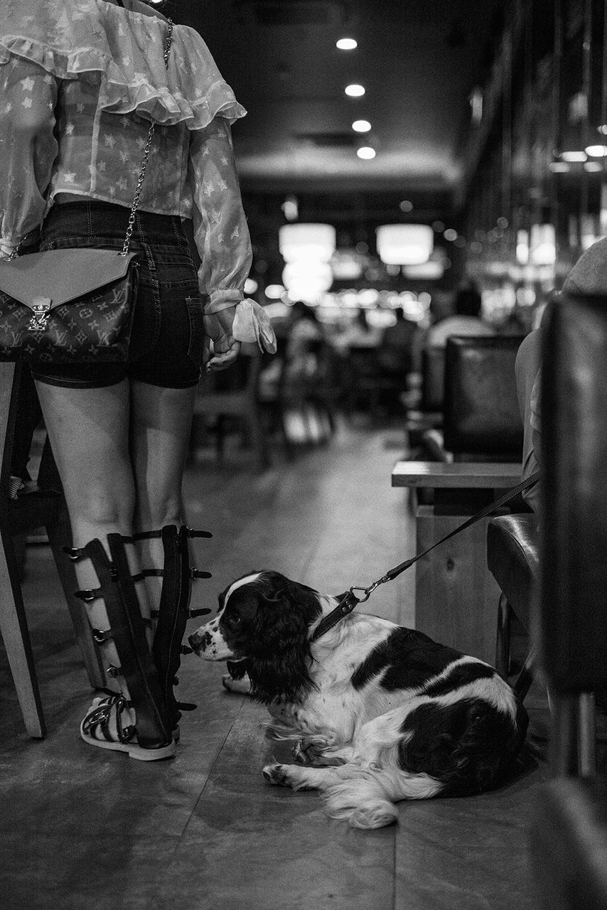 MIDSECTION OF WOMAN WITH DOG IN NIGHTCLUB
