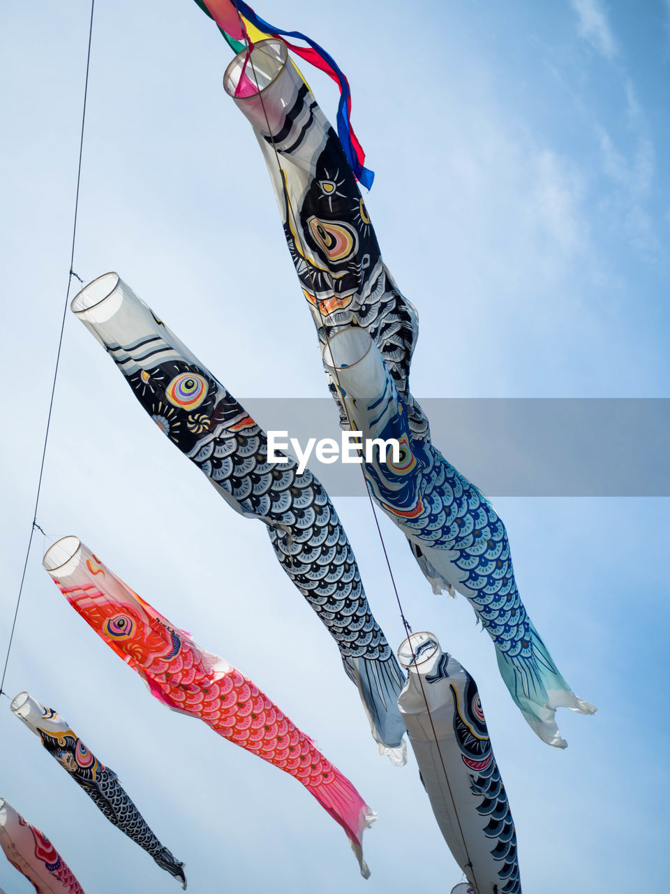 LOW ANGLE VIEW OF FISH HANGING AGAINST THE SKY