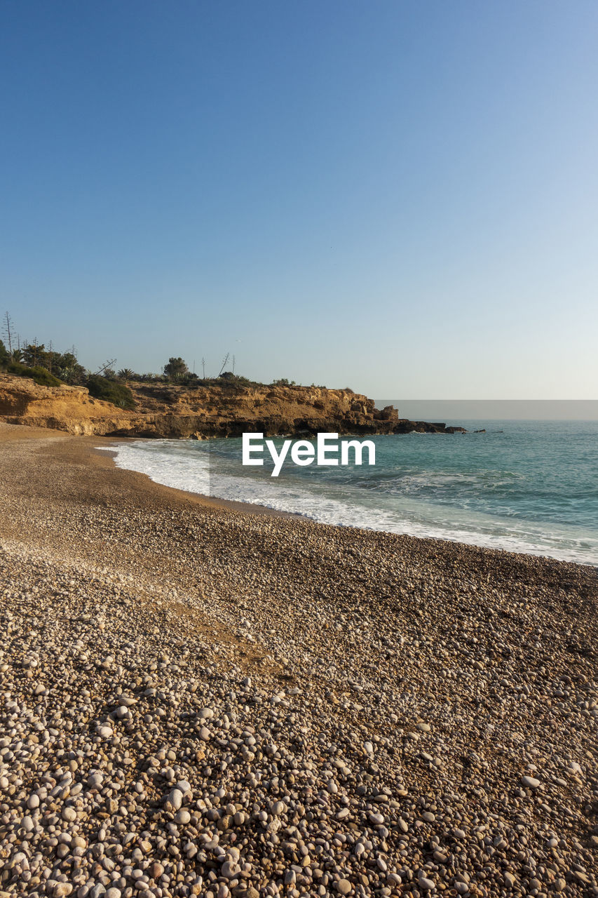 SCENIC VIEW OF BEACH AGAINST CLEAR SKY