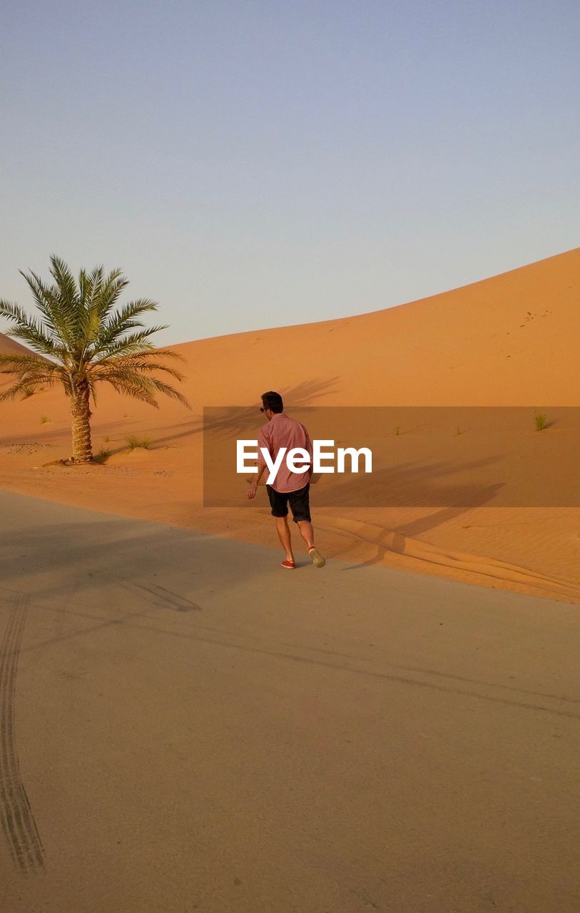 Rear view of man walking on sand dune in desert against sky