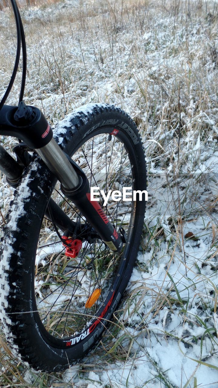 CLOSE-UP OF BICYCLE WHEEL WITH TREE