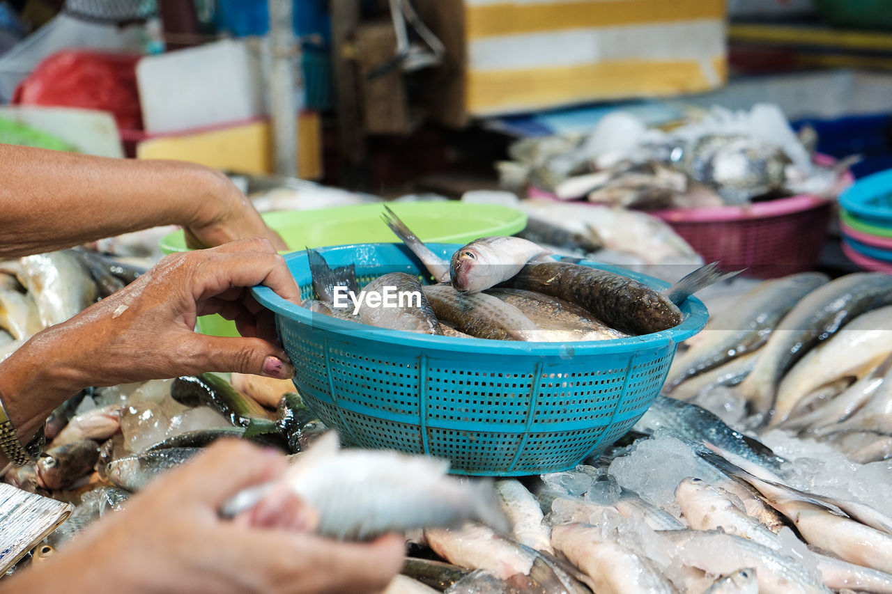 WOMAN HOLDING FISH AT MARKET