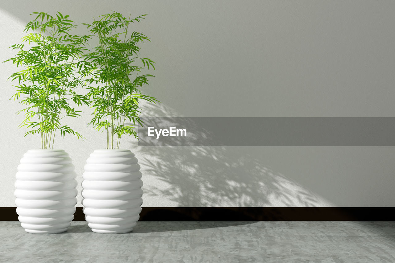 Potted plants on floor against wall