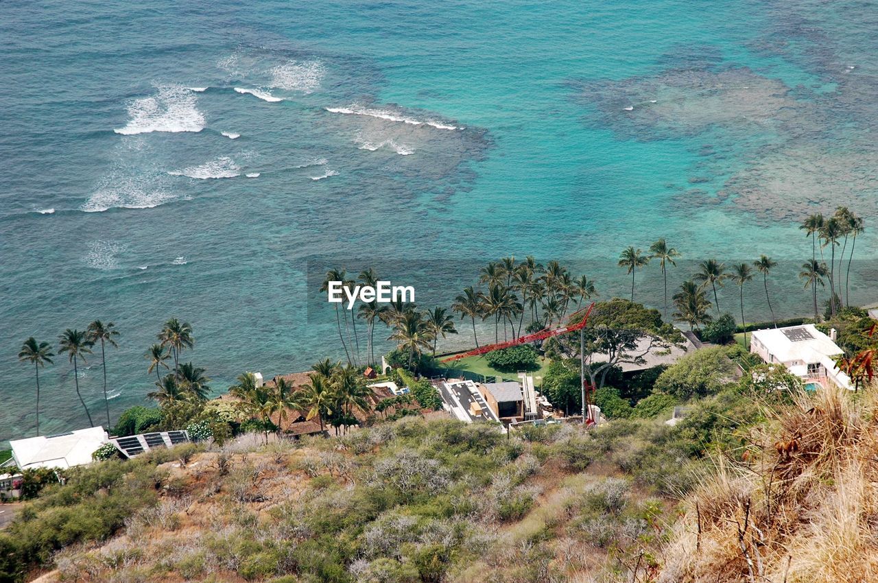 Scenic view of sea and tree